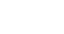 Wydex Logo